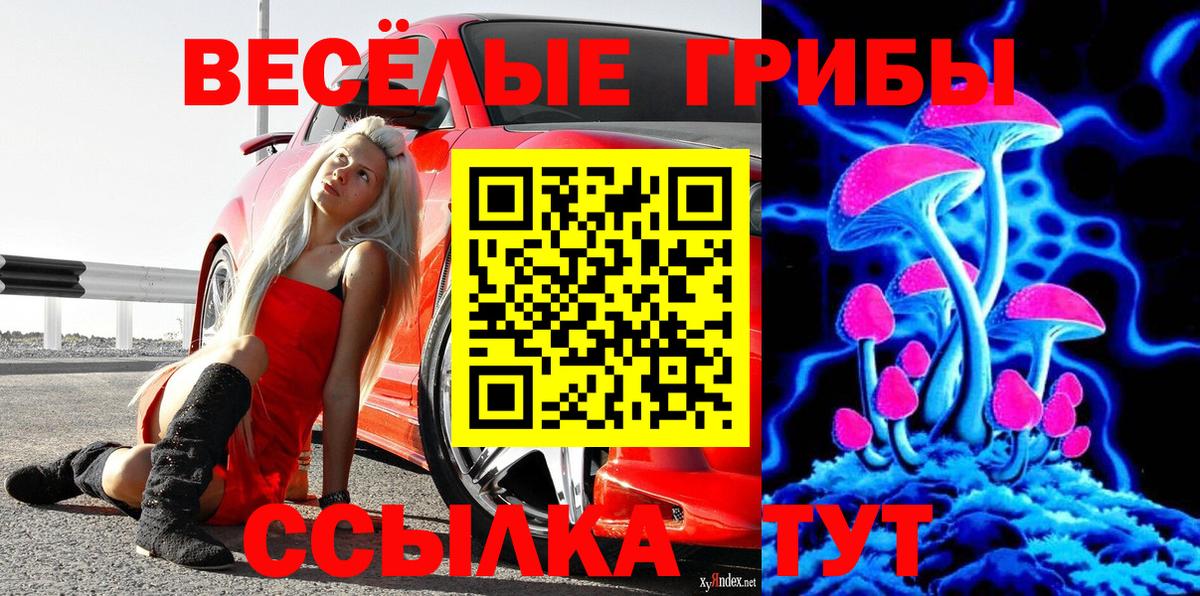 Галлюциногенные грибы прущие грибы Донской