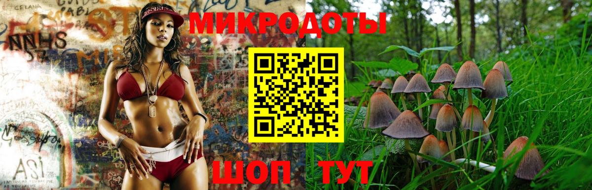 Псилоцибиновые грибы GOLDEN TEACHER  Вход с VPN  Донской 